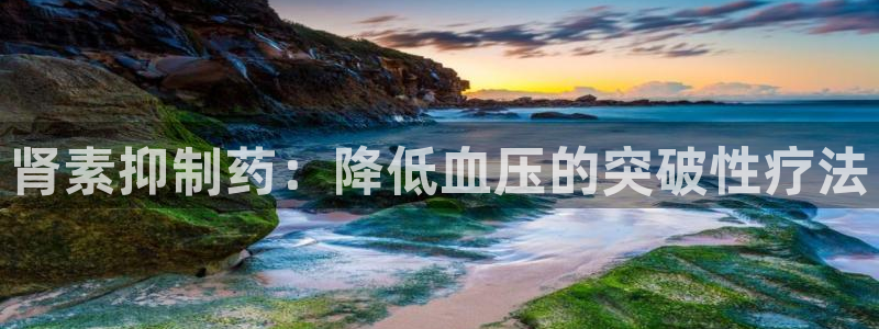 九游老哥俱乐部登录：肾素抑制药：降低血压的突破性疗法