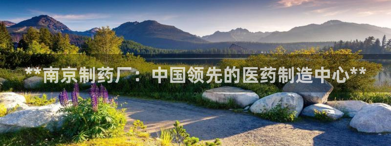 9游会老哥俱乐部：**南京制药厂：中国领先的医药制造中心**