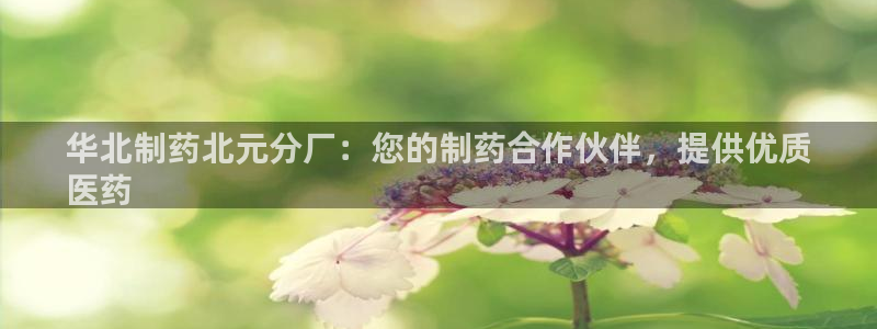 九游老哥俱乐部官网登录：华北制药北元分厂：您的制药合作伙伴，提供优质
医药