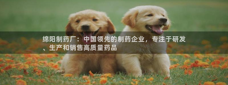 九游老哥俱乐部官网登录不了：绵阳制药厂：中国领先的制药企业，专注于研发
、生产和销售高质量药品