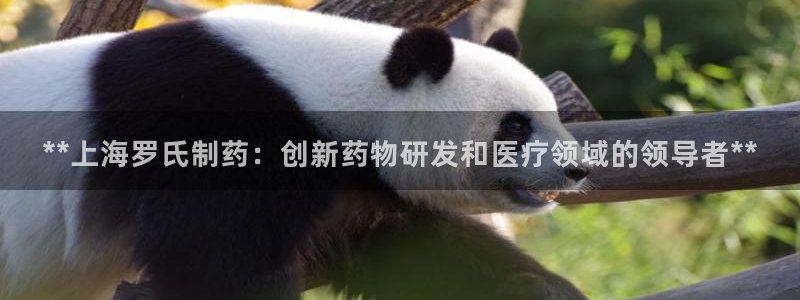 老哥俱乐部是干什么的啊：**上海罗氏制药：创新药物研发和医疗领域的领导者**