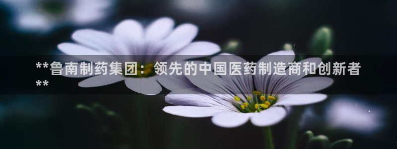 9游会老哥：**鲁南制药集团：领先的中国医药制造商和创新者
**