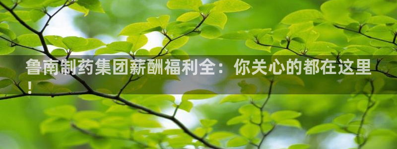 九游会老哥俱乐部：鲁南制药集团薪酬福利全：你关心的都在这里
！