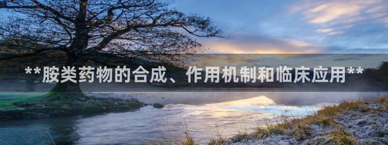 九游会老哥俱乐部论坛版：**胺类药物的合成、作用机制和临床应